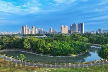 91人妻在线-91人妻在线，网络世界的伦理边界与个人隐私的守护
