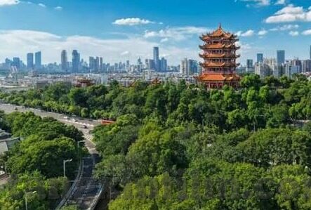 果冻传媒的邀请码-探索果冻传媒邀请码的奥秘，解锁数字时代的创意窗口