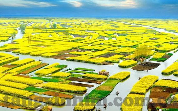 果冻传媒精选麻豆2区-探讨果冻传媒与麻豆2区的魅力量——数字娱乐中的视觉盛宴