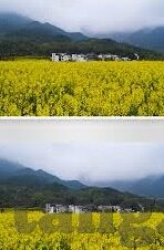 麻豆传媒app免费视频-关于麻豆传媒APP的深度体验与个人观点