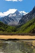 麻豆传媒app在哪下载-探索网络乐园，解锁麻豆传媒APP的下载奥秘