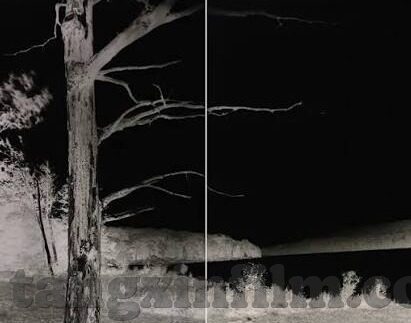 麻豆视频 91-麻豆视频91的误解与审视，互联网时代下的内容消费新思考