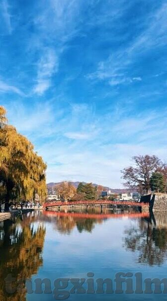 免费麻豆国产黄色av-探寻国产影视艺术的多元化视角——免费麻豆国产黄色av的误区与反思