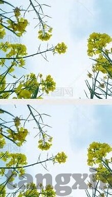 亚洲成人av视频-亚洲成人AV视频，文化、社会与个人视角的多元探讨